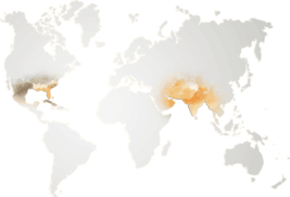 imgButtermilkMap