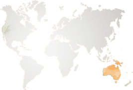 imgEucalyptusMap