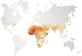 imgKokumButterMap