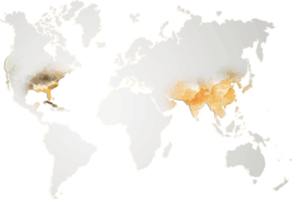 imgLemonMap