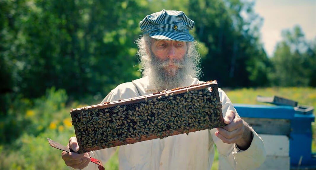 love-bees